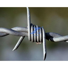 Firm and Long Life Barbed Wire (factory)